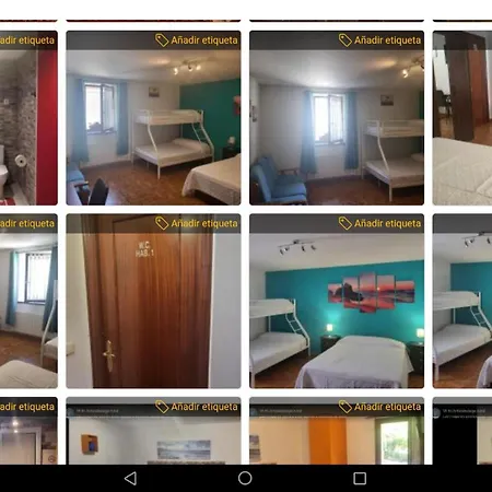 Vt Y Ht Arrizabalaga Rural Montana Alloggio in famiglia *