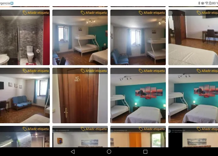 Vt Y Ht Arrizabalaga Rural Montana Alloggio in famiglia *