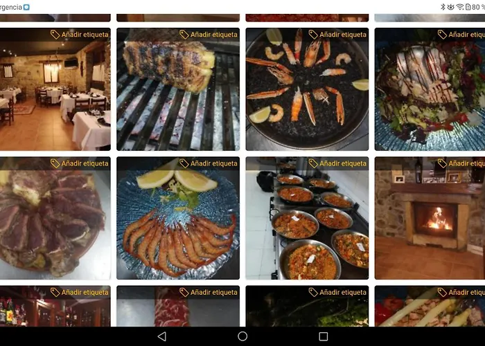 Vt Y Ht Arrizabalaga Rural Montana * Bermeo