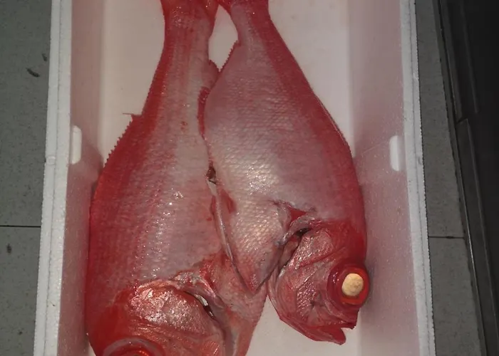 Vt Y Ht Arrizabalaga Rural Montana Bermeo