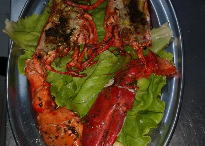 Vt Y Ht Arrizabalaga Rural Montana Alloggio in famiglia *